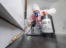 Best Fumigation Services  in Ponce Inlet, FL